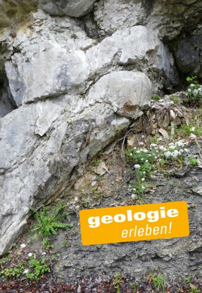 Alpiner Muschelkalk (links) - Überschiebungsbahn - Oberjura-Gesteine (rechts)