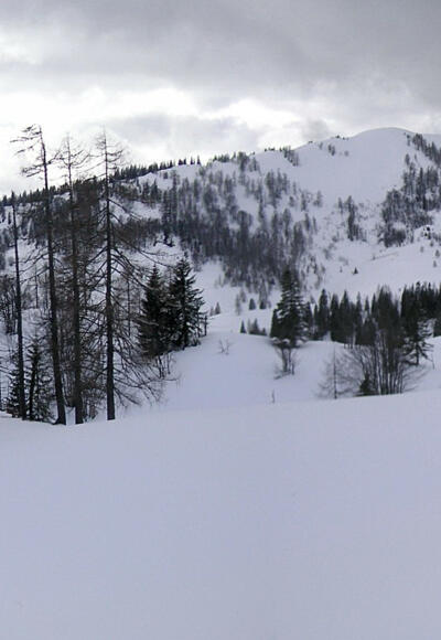 Taborberg Ostflanke von der Thurnaualm