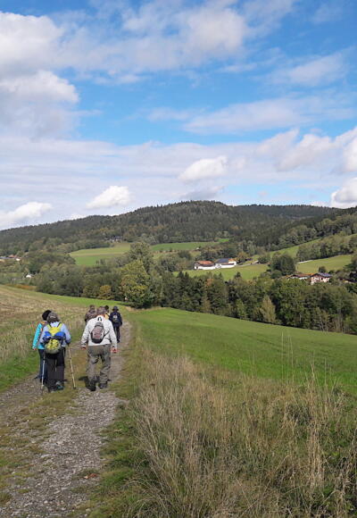 Weg von Maierhof nach Gneißen - im Hintergrund die Zeller Höhe
