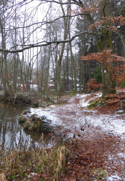Höllbachtal - Naturschutzgebiet