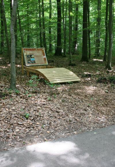 Station 5: Boden als Lebensraum - unter unseren Füßen tobt das Leben! Station zum hinlegen und Bodentiere beobachten