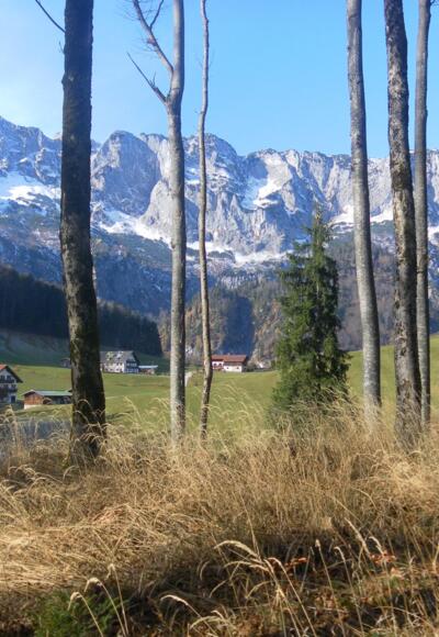 am Südrücken mit Blick zur Untersberg Südwand