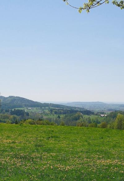 Blick von Notzling zum Bogenberg
