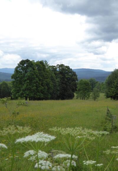 Landschaft bei České Žleby