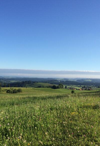 Blick auf Schönau