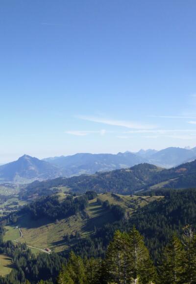 Am Grauen Stein