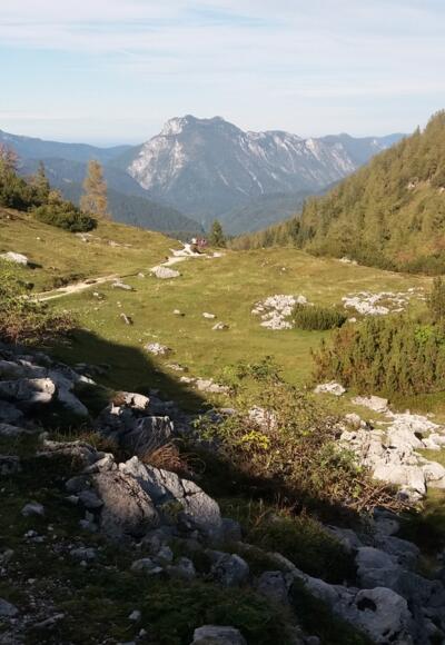 Hier fast ebener Steig hinter der Steinkapelle nach Norden.