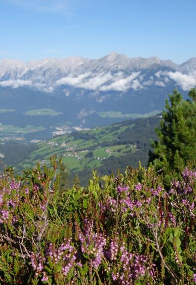 Inntalblick