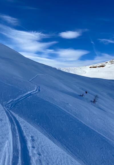 Die Stanzscharte im Blick