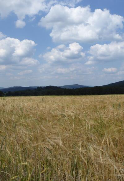 Blick zurück nach Waldmünchen