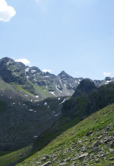 Tschiffernella