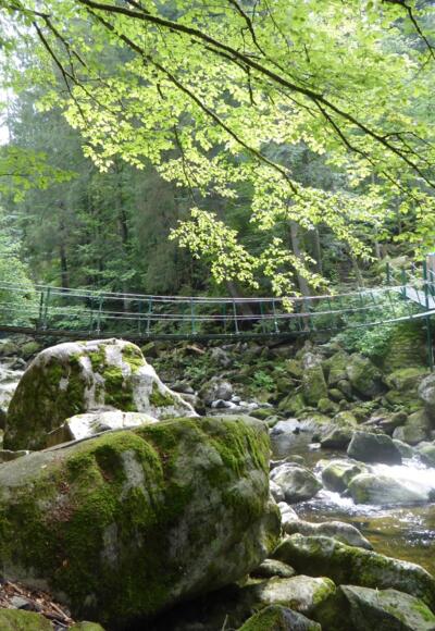 Buchberger Leite - Hängebrücke