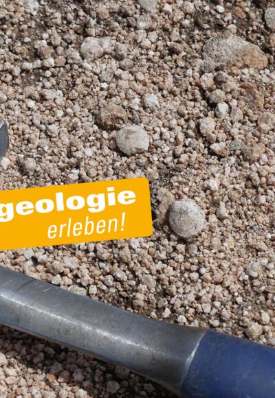 Brachiopoden und Seelilien-Stielglieder im Weg am Laubenstein