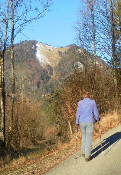 Zwölferhorn aus dem Steingraben