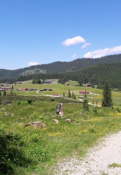Unterer Teil des Moosweges