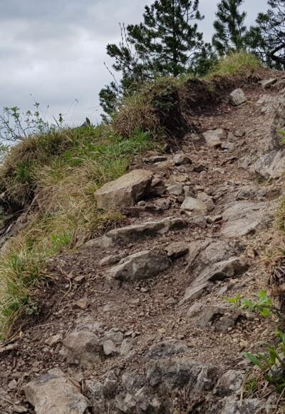 Ansteig über Weg Nr. 263 vom Ghf. Mühle zur Notkarspitze
