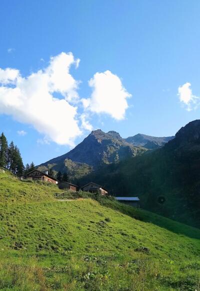 Das Rosenjoch, ganz hinten der höchste Punkt, im Vordergrund die Vorbergalm.