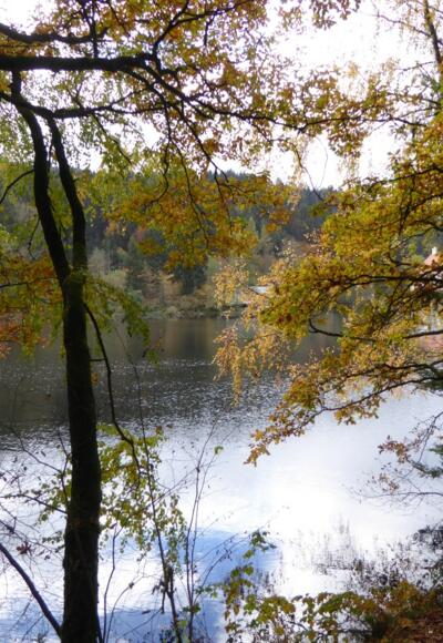 Höllensteinsee