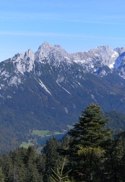 Zettenkaiser vom Pölven