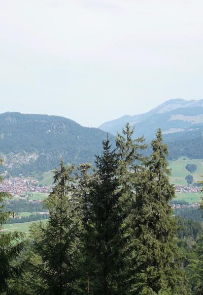 Blick nach Reit im Winkl und Hochgern