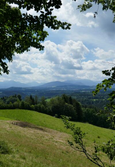 Oberhalb von Fentberg öffnet sich ein schöner Ausblick auf das Mangfallgebirge.