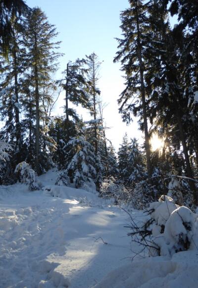 Aufstieg auf den Bernhardsnagel