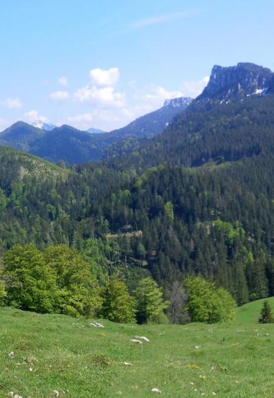 Schwarzenberg und Erlbergkopf links, Gedererwand rechts