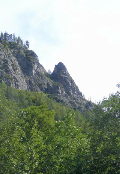 Brentköpfl