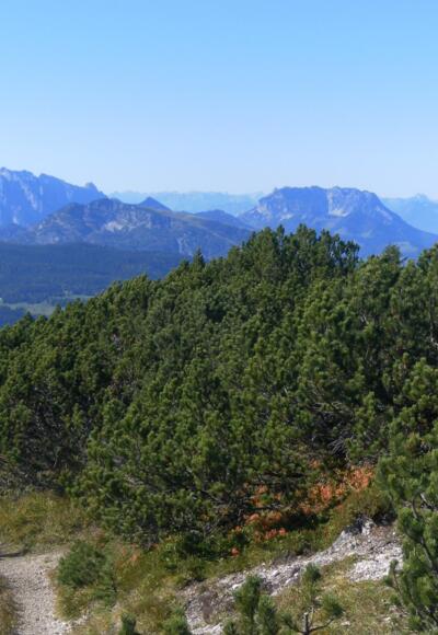 Kreuzgipfel des Dürrnbachhorns