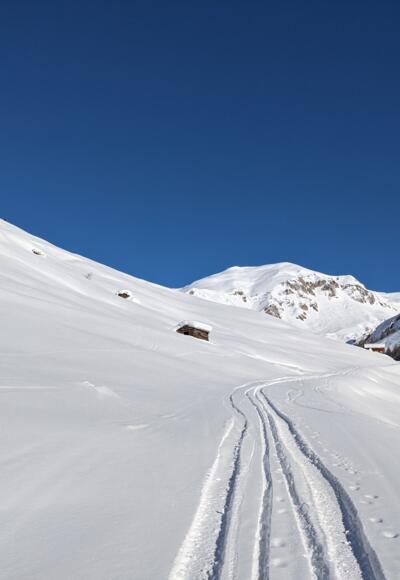 Fahrweg zur Fließer Alpe
