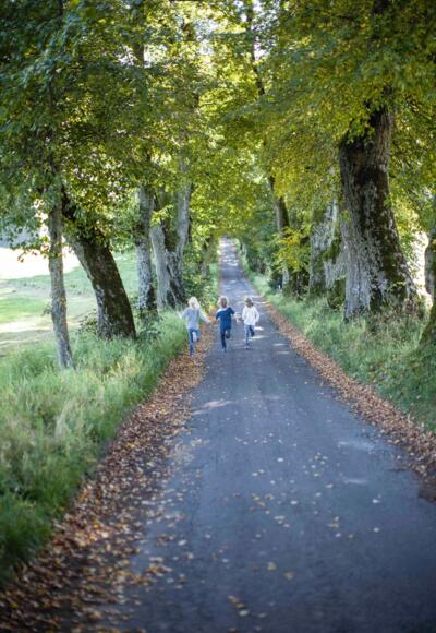 Die Kurfürstenallee in Marktoberdorf