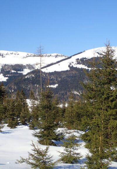 Start bei der Mautstelle; Schlenken, Schlenkstein und Schmittenstein im Hintergrund