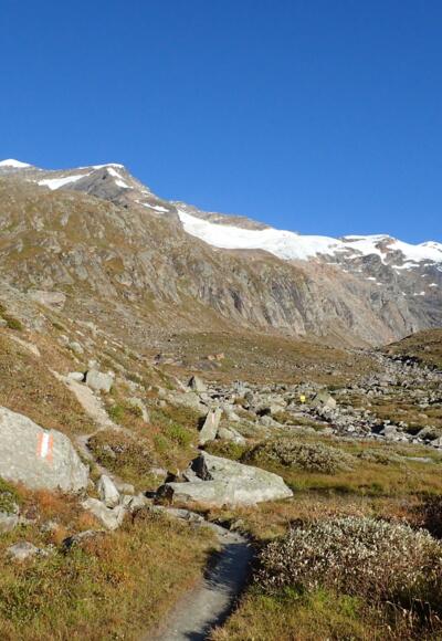 Im flachen Boden nördlich der Essener-Rostocker-Hütte