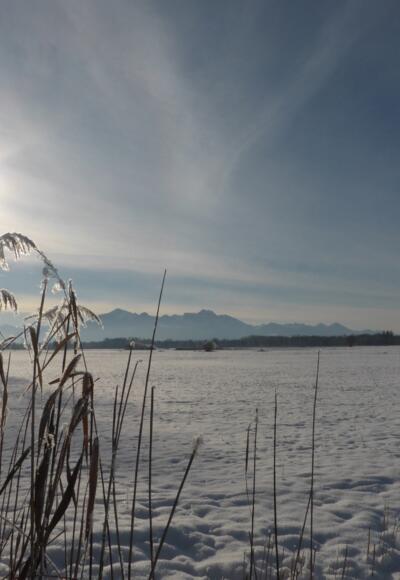 Winterstimmung im Grabenstätter Moos