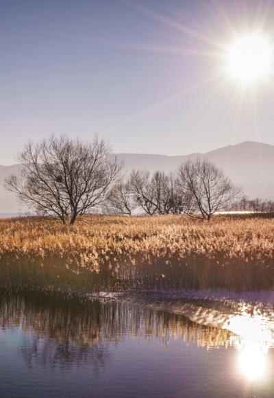 Winterzauber am Tegernsee