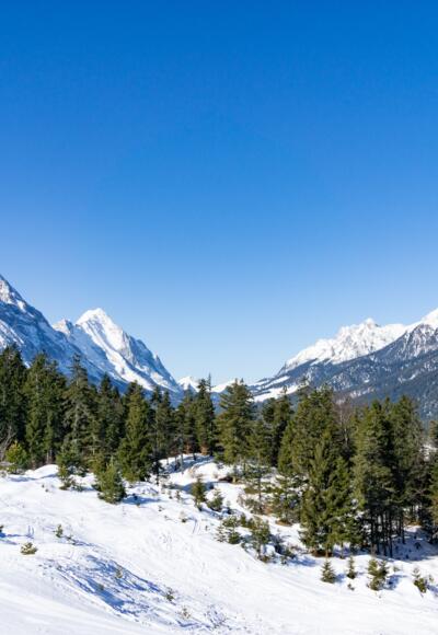 Blick vom Katzenkopf ins Gaistal. Links die Hohe Munde.