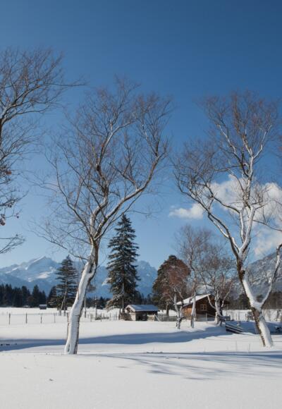 Foehrenheide-20100131_0004.jpg