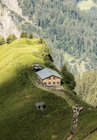 Ausblick auf den Nordalpenweg vorbei an der Schadona-Alpe