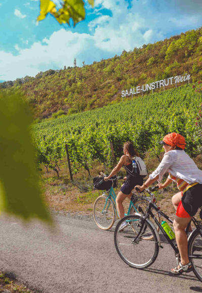 auf-dem-saaleradweg-durchs-saale-unstrut-weinanbau-gebiet_etappe-6_c_vinvent_graetsch