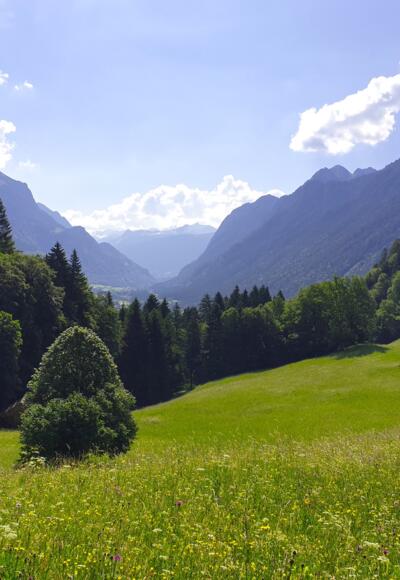 Ausblick Richtung Klostertal