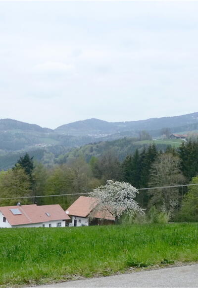 Aussicht von Hungerszell nach Nord-West