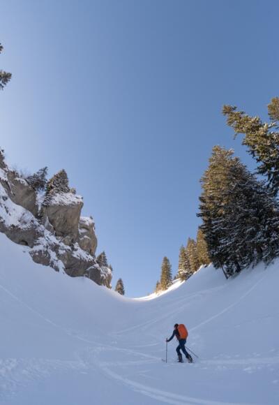 Stiller Abstecher: Aufstieg zum Steineberg.