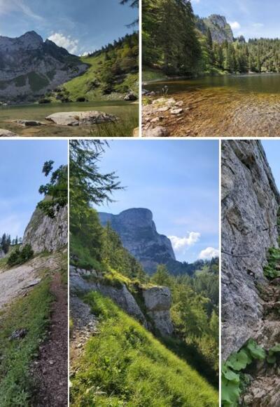 Collage Schafberg Runde