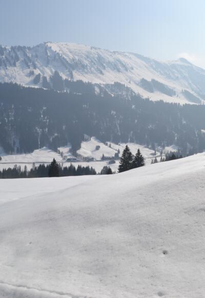Schönste Ausblicke ins Kleinwalsertal.