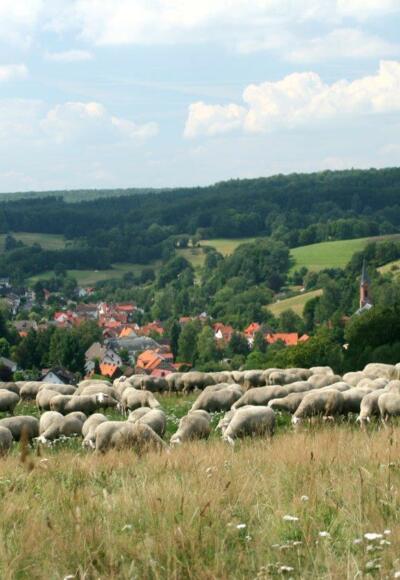 Gemeinde Rothenbuch