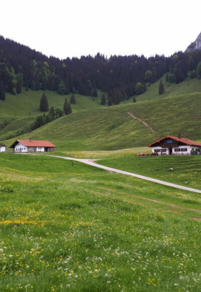 Heubergalmen mit Deindlalm rechts und der Wasserwand im Hintergrund - © Chiemsee-Alpenland Tourismus
