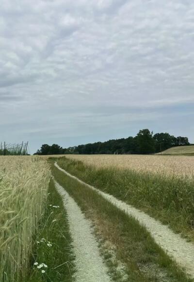 Multimedia Audioguide auf dem Rad mit der Locandy App durch die Region 10