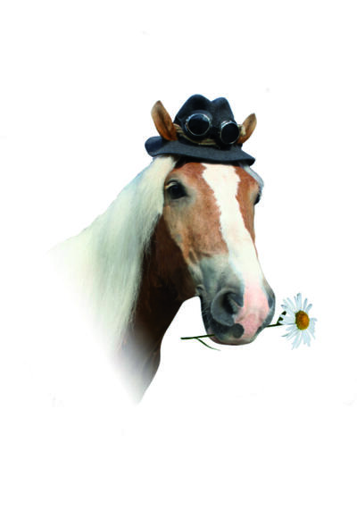 Landgasthaus Waldmichelbacher Hof