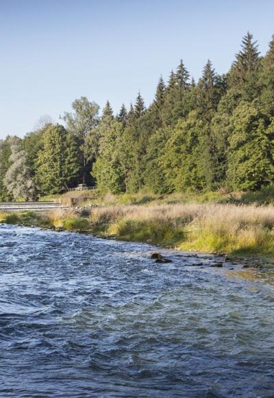Die Iller bei Illertissen