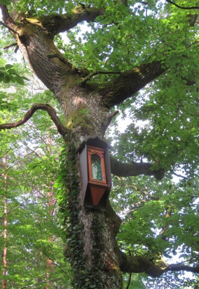 Marienfigur in de Eiche